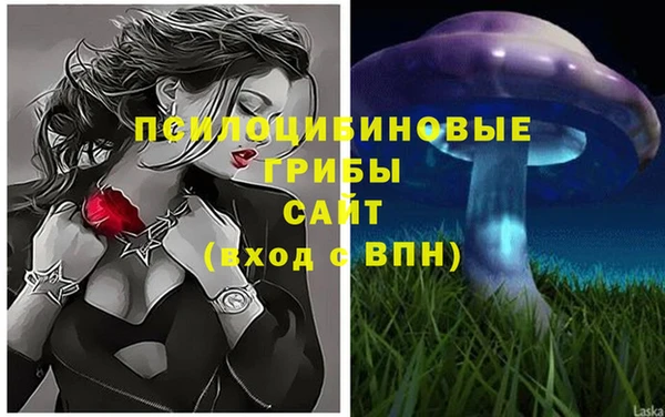 ешки Алексин