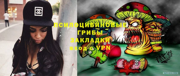 молекула духа Алзамай