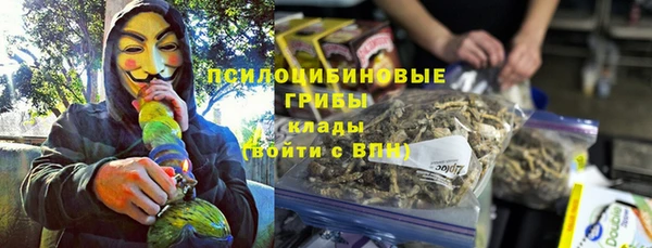 ешки Алексин
