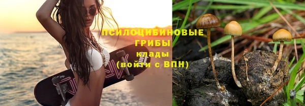 молекула духа Алзамай